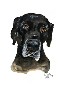 Watercolor Pet Portrait (Mulligan Series)