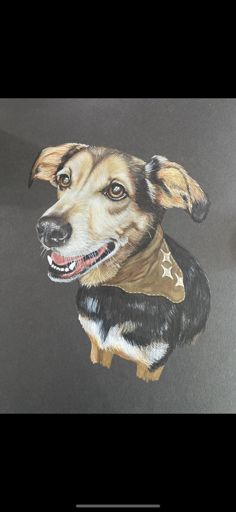 Color Pencil Pet Portrait – Soulsby Art Color Pencil Pet Portrait – Soulsby Art