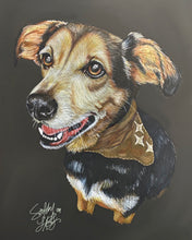 Load image into Gallery viewer, Color Pencil Pet Portrait
