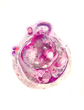 Load image into Gallery viewer, Embryo Art
