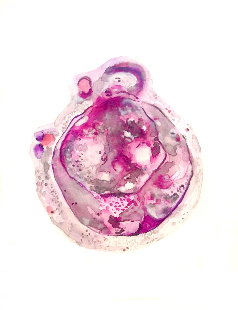 Embryo Art