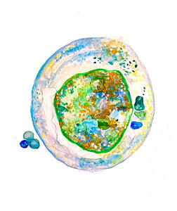 Embryo Art